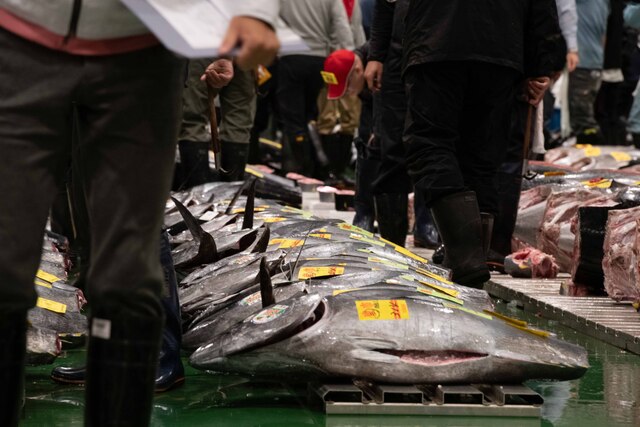 適正価格の安心感