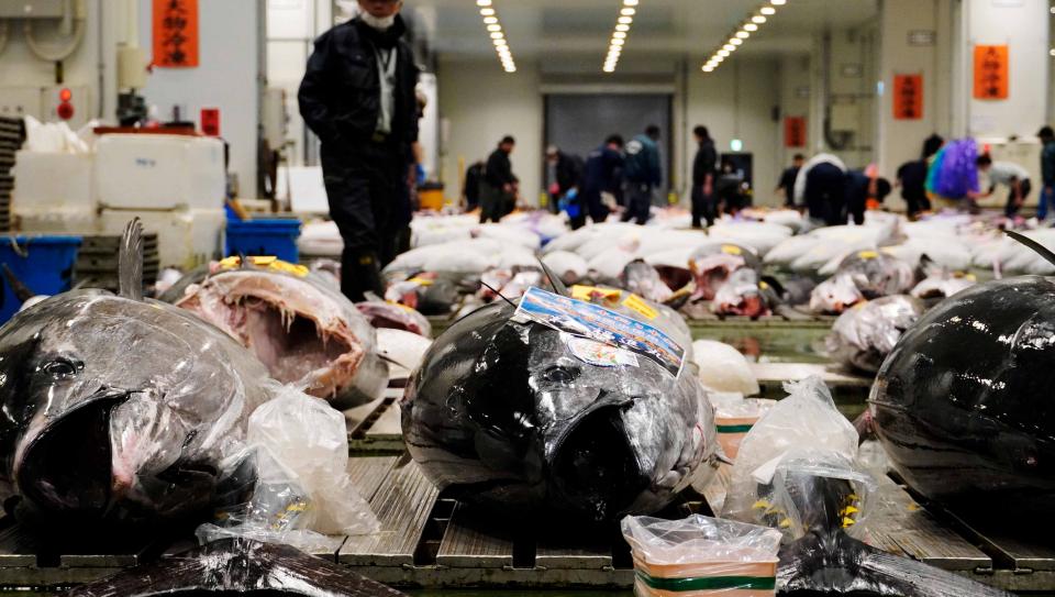 有限会社石司商店