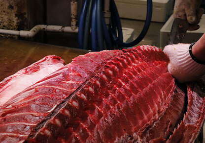 ”生”の天然本マグロにこだわる高鮮度対応